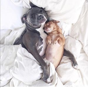 Meet your Posher, Raine